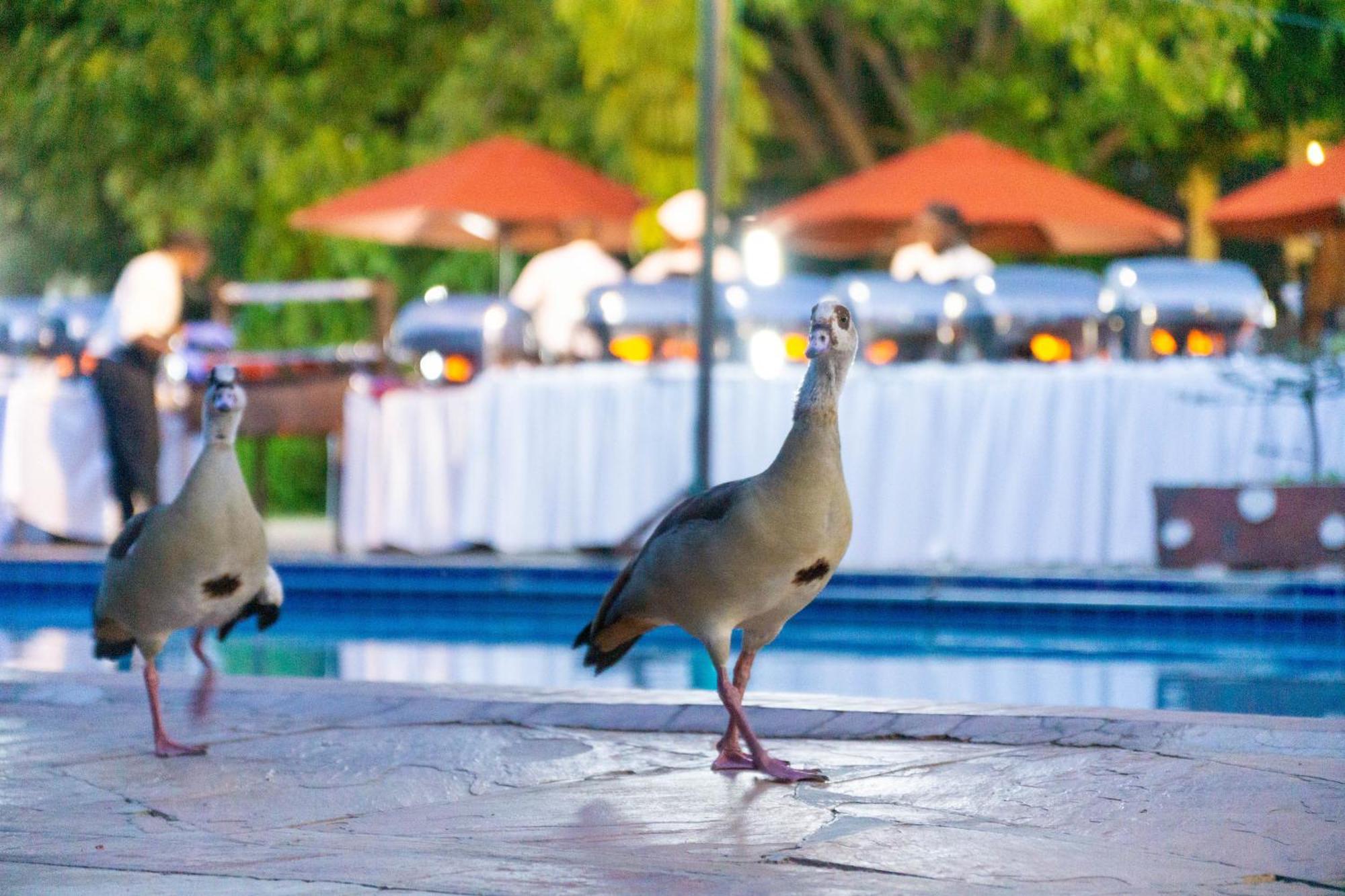 Lukenya Getaway Otel Athi River Dış mekan fotoğraf