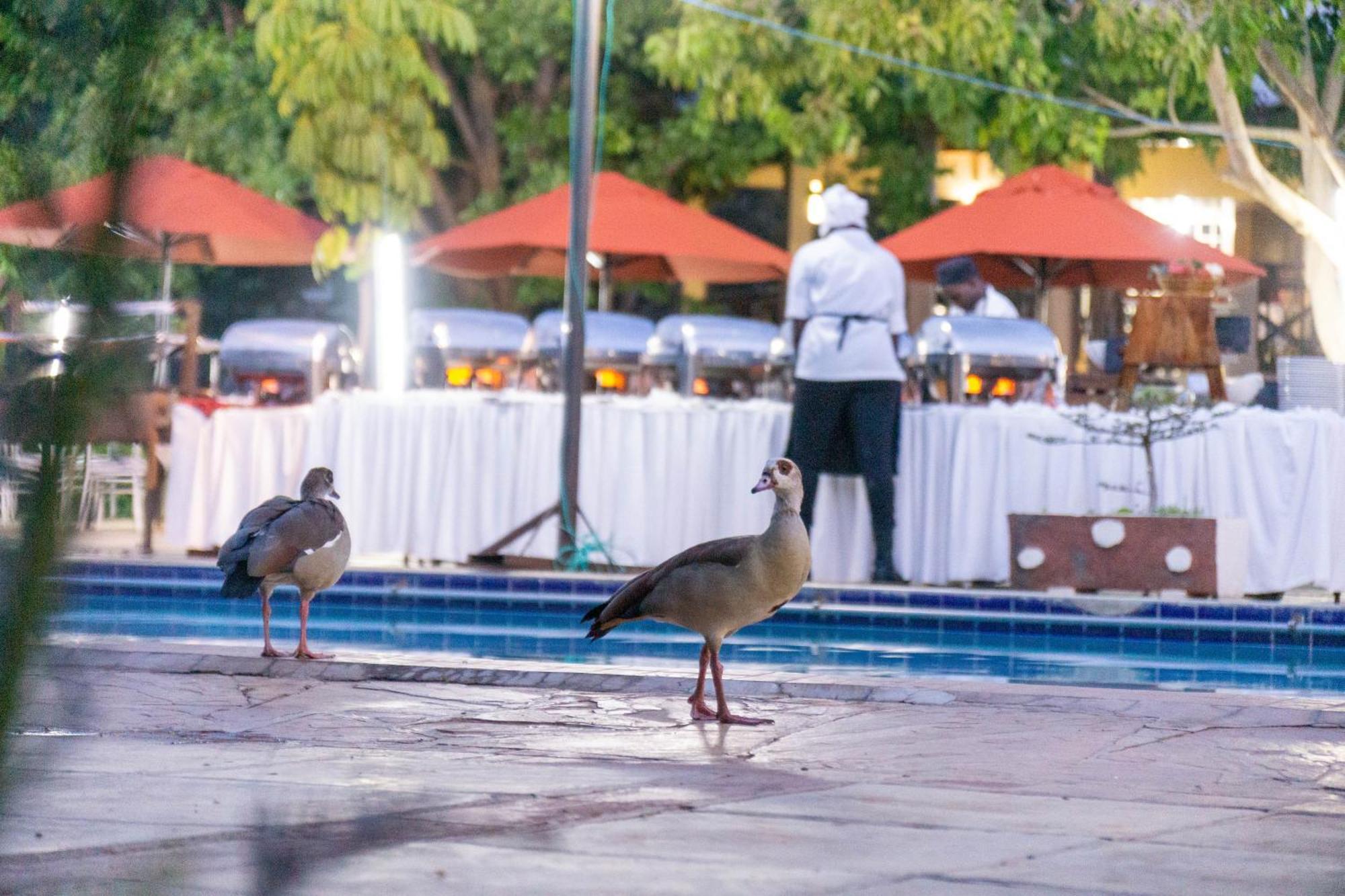 Lukenya Getaway Otel Athi River Dış mekan fotoğraf