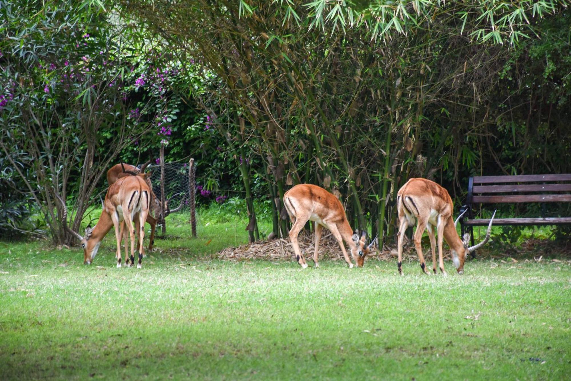 Lukenya Getaway Otel Athi River Dış mekan fotoğraf