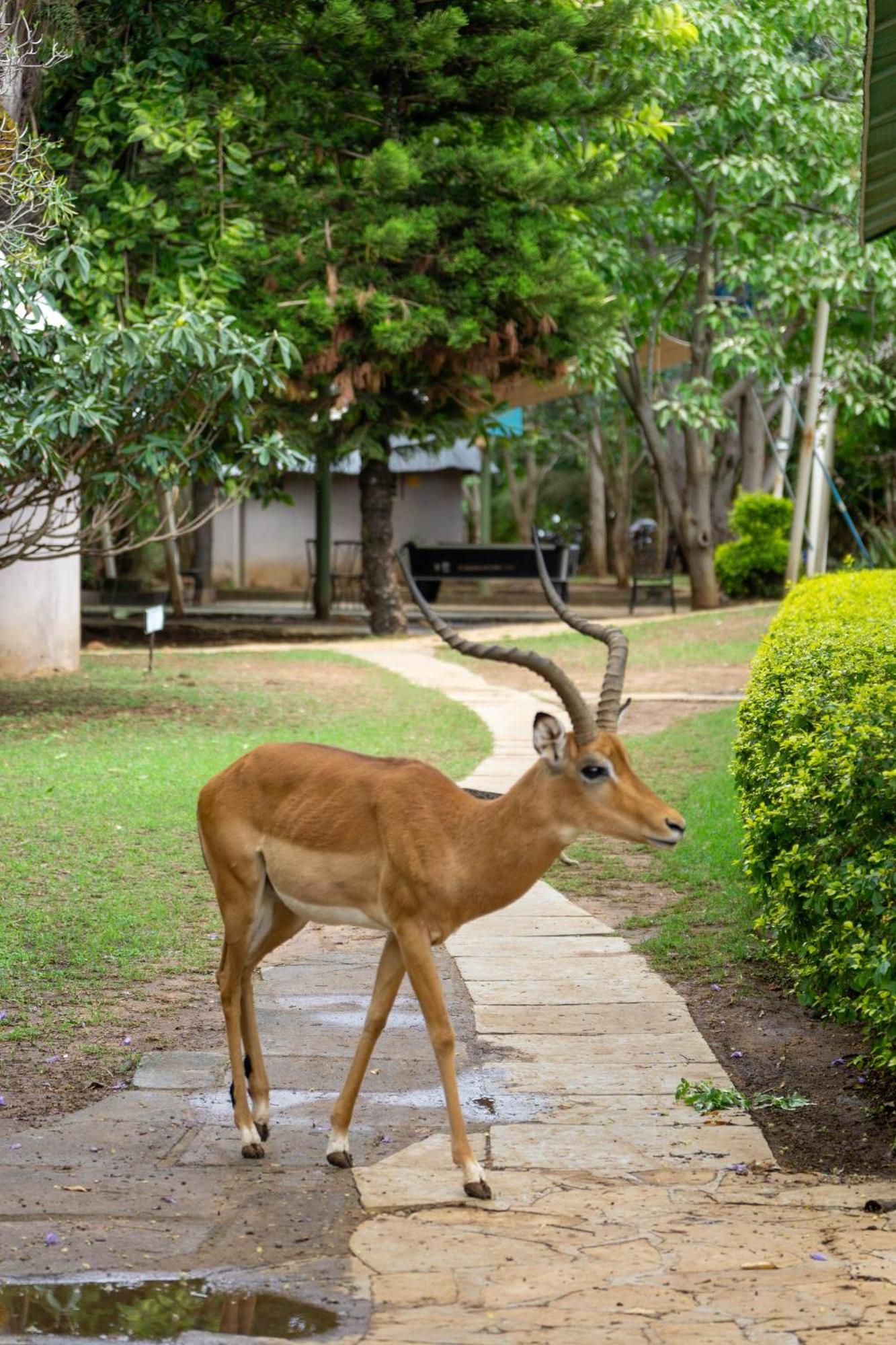 Lukenya Getaway Otel Athi River Dış mekan fotoğraf
